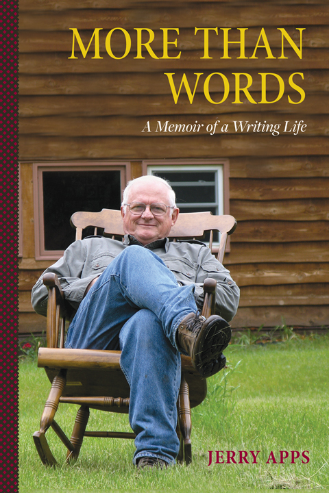 Front cover of More Than Words