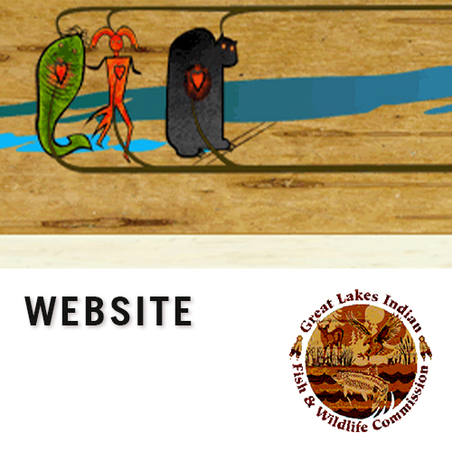 The text "Website" follows an illustration, with the Great Lakes Indian Fish & Wildlife Commission logo in the bottom-right corner.