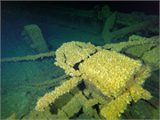 Trinidad Shipwreck (Schooner), a Site.