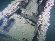 Little Harbor Launch Wreck, a Site.