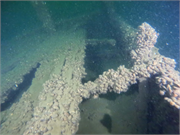 Little Harbor Launch Wreck, a Site.