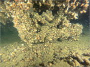 Little Harbor Launch Wreck, a Site.
