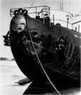 METEOR (Whaleback carrier), a Structure.