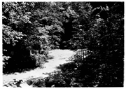 Bass Island Brownstone Company Quarry, a Site.