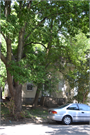 738 E JOHNSON ST, a Side Gabled house, built in Madison, Wisconsin in 1857.