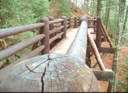 COPPER FALLS STATE PARK, a Rustic Style wood bridge, built in Morse, Wisconsin in 1940.