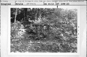 BRULE RIVER STATE FOREST, a NA (unknown or not a building) trail/walk/stairs, built in Brule, Wisconsin in 1934.