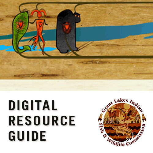Great Lakes Indian Fish & Wildlife Commision Digital Resources, learn more by clicking here.