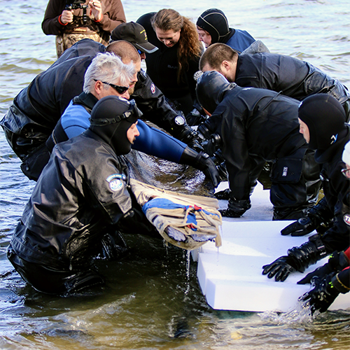 The team carefully pulls the canoe from the water using many supports and hands.
