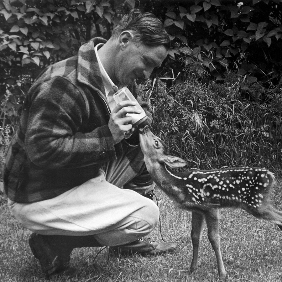 Man in flannel bottle feeding a baby deer