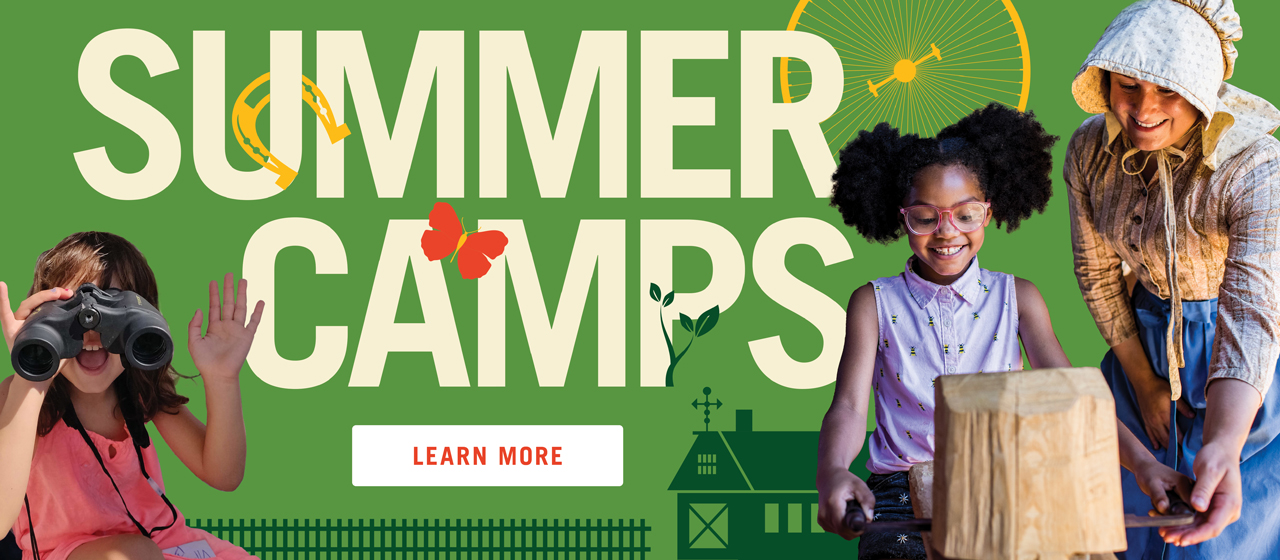 Summer Camps, Learn More