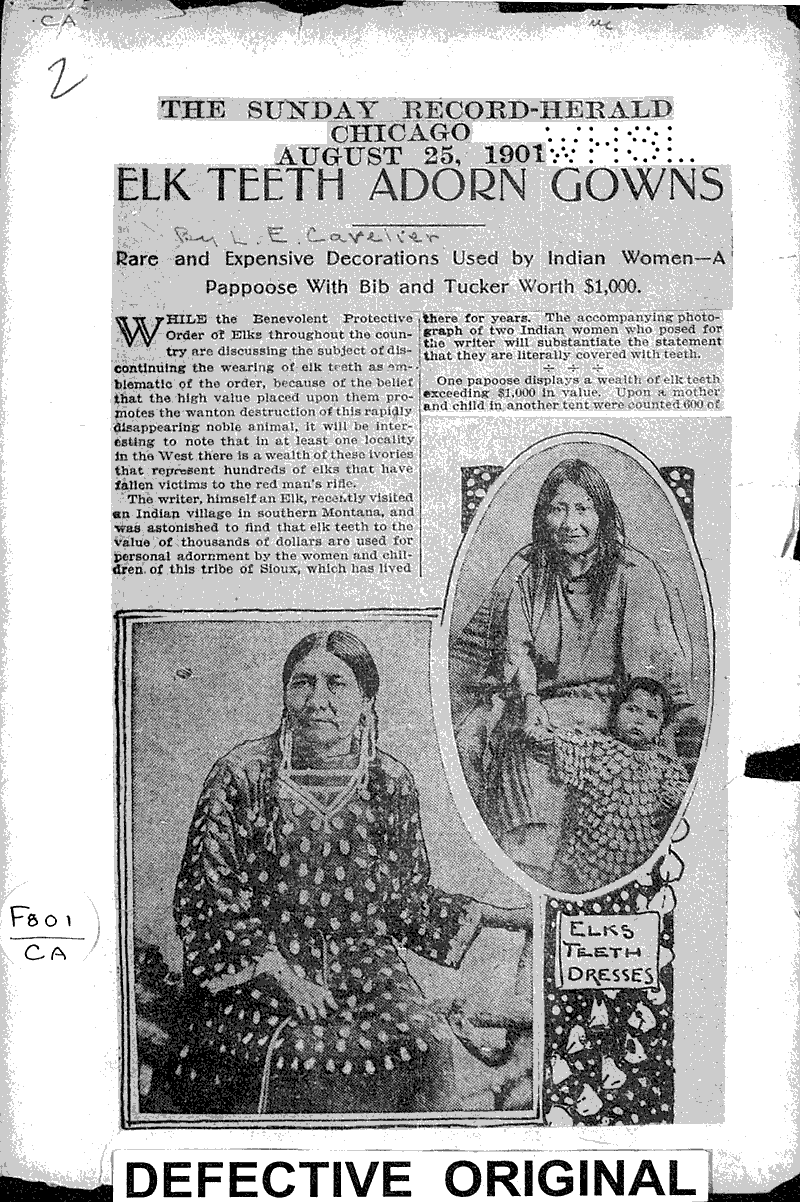 Elk Teeth adorn gowns Source: Sunday Record-Herald Topics: Indians and Native Peoples Date: 1901-08-25